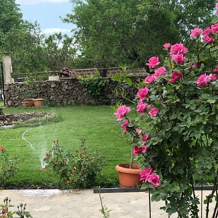 Chez Yvette Bed & Breakfast Garni Dış mekan fotoğraf